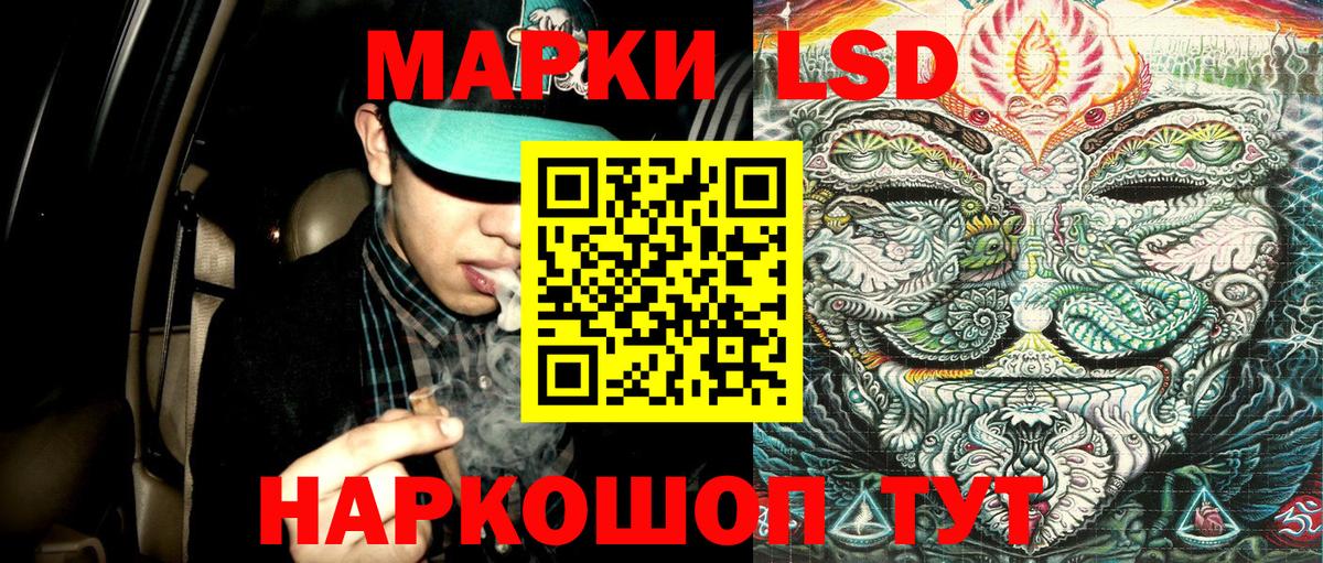 Наркотические марки 1500мкг Каменка