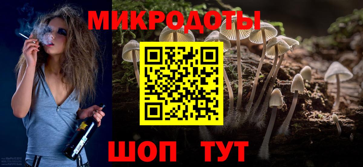 Каменка  Галлюциногенные грибы Magic Shrooms  Вход с VPN 