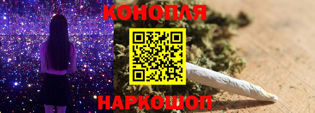 Канабис ГИДРОПОН Каменка